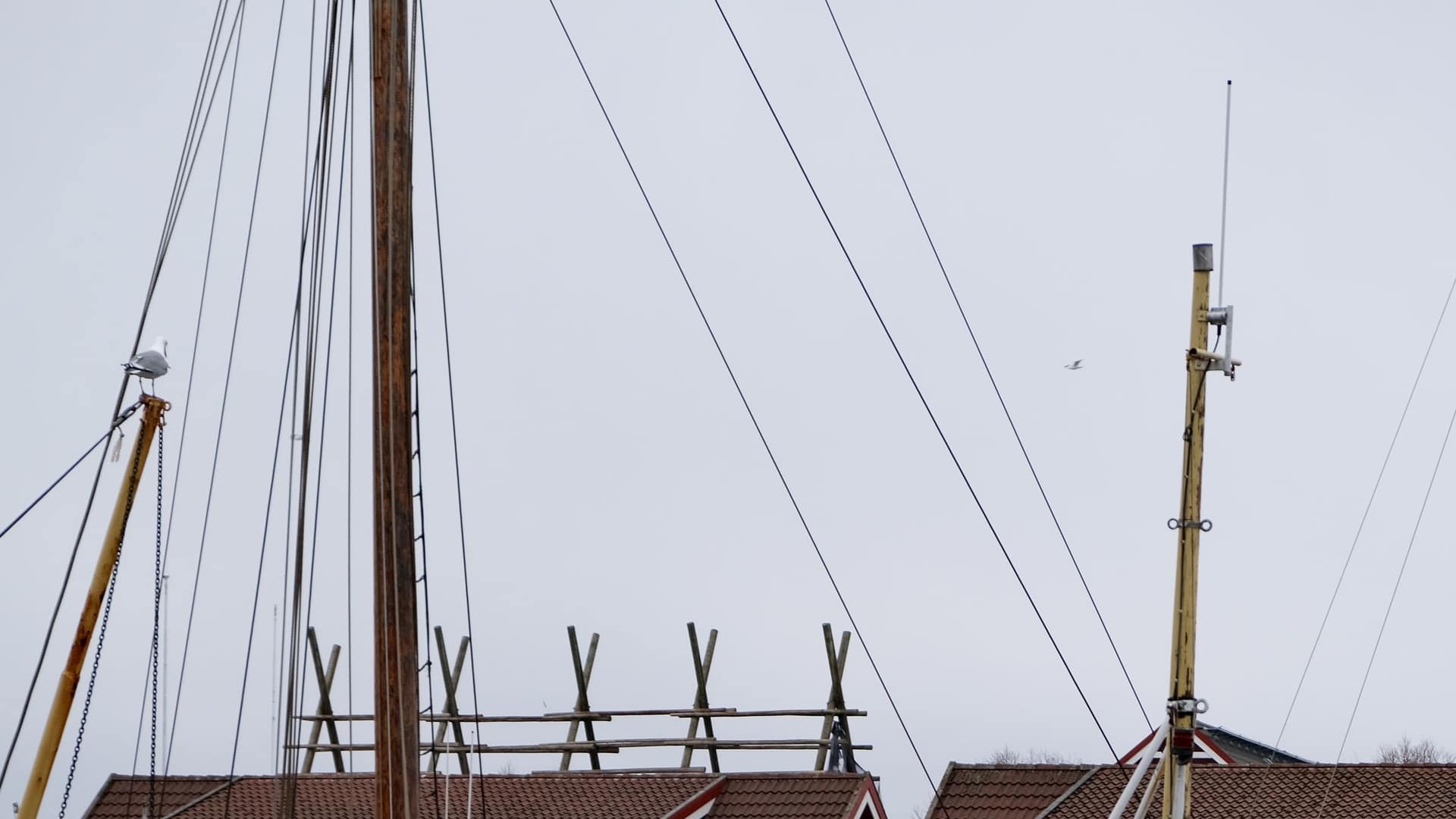 Haven met boten aan het water, zoals in Medemblik